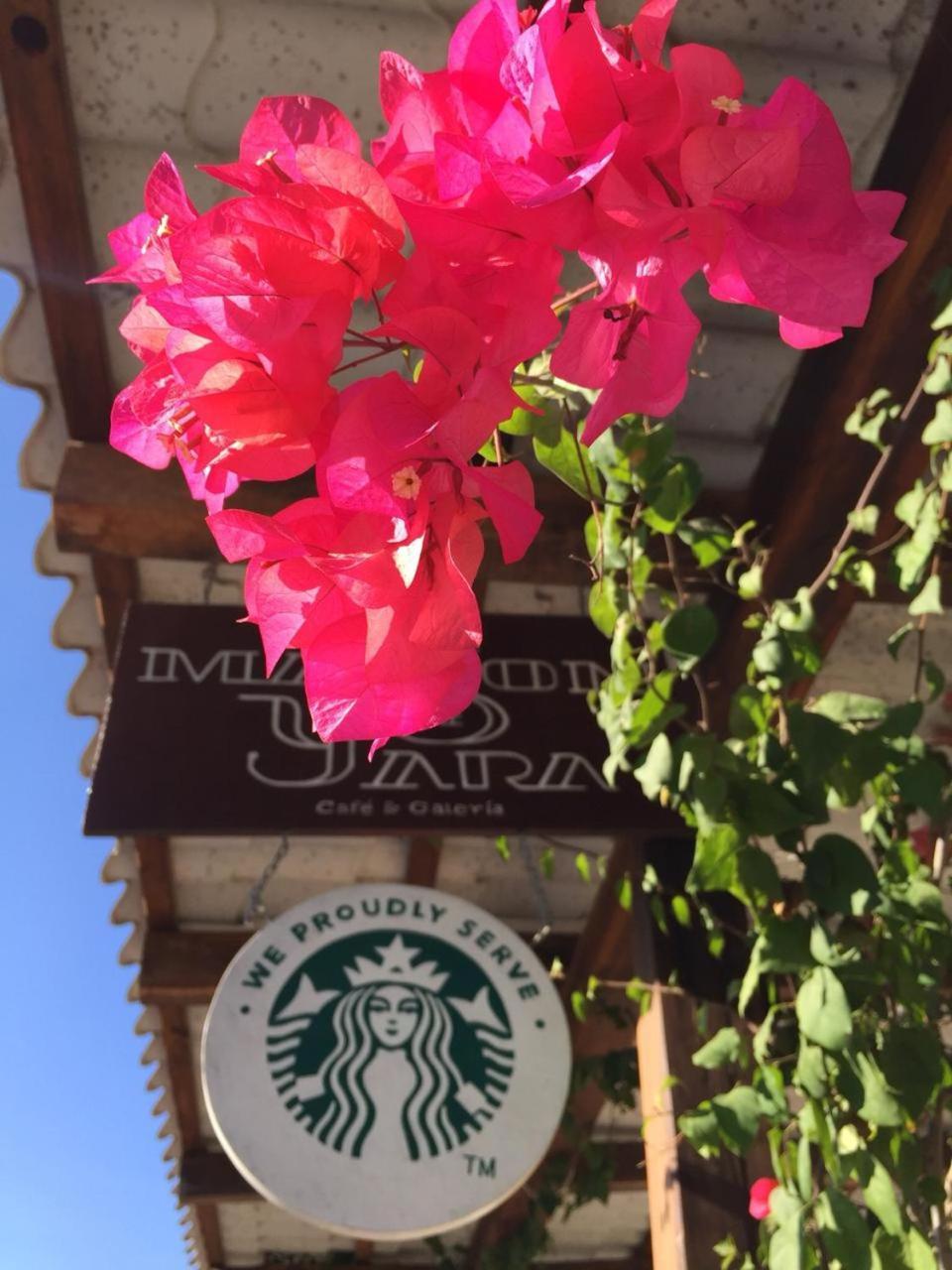 Toto Blue Hotel Boutique バカラル エクステリア 写真